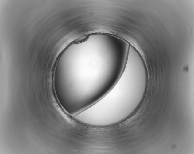 X0000094380898200711020822