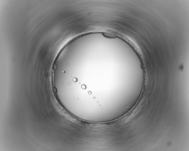 X0000094380899200711020822