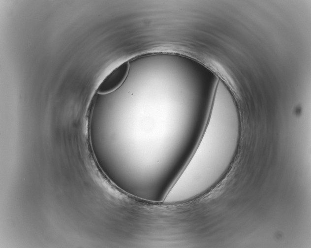 X0000094380900200711020822