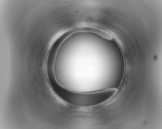 X0000094380901200711020822