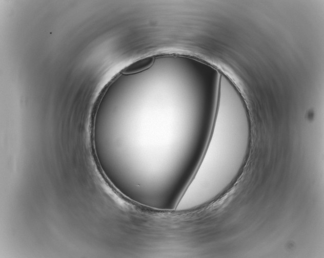 X0000094380902200711020822