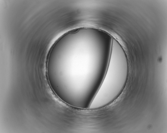 X0000094380904200711020822
