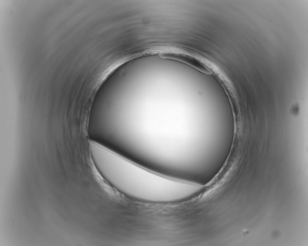 X0000094380905200711020822
