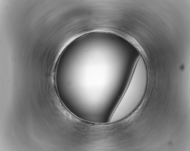 X0000094380908200711020822
