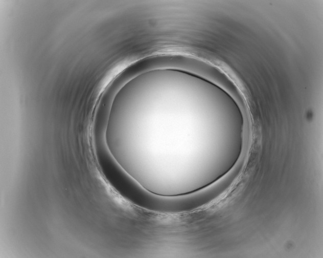X0000094380909200711020822