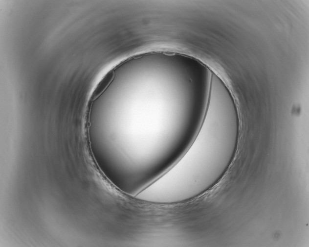 X0000094380912200711020822