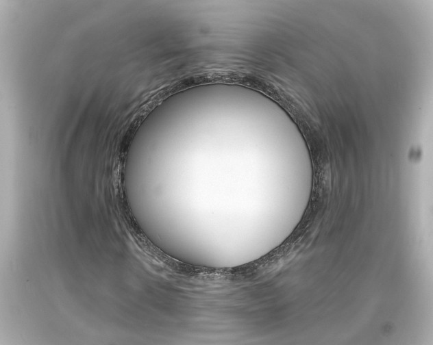 X0000094380914200711020821
