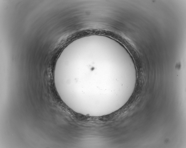 X0000094380918200711020821