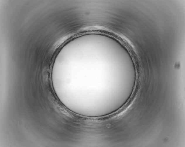 X0000094380921200711020821