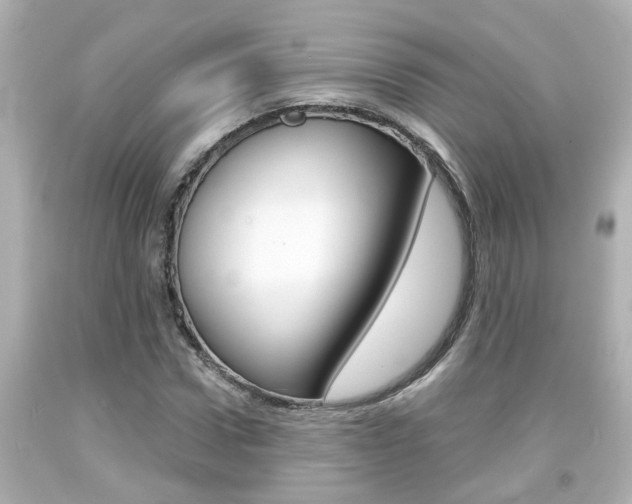 X0000094380922200711020821