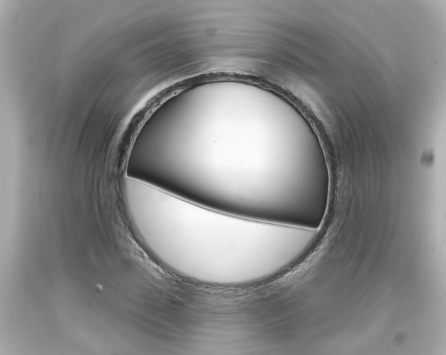 X0000094380923200711020821