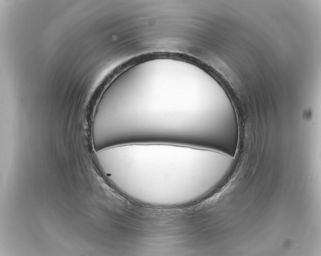 X0000094380926200711020821