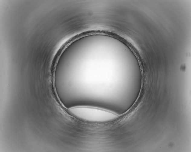 X0000094380927200711020821