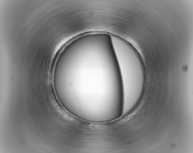 X0000094380928200711020821