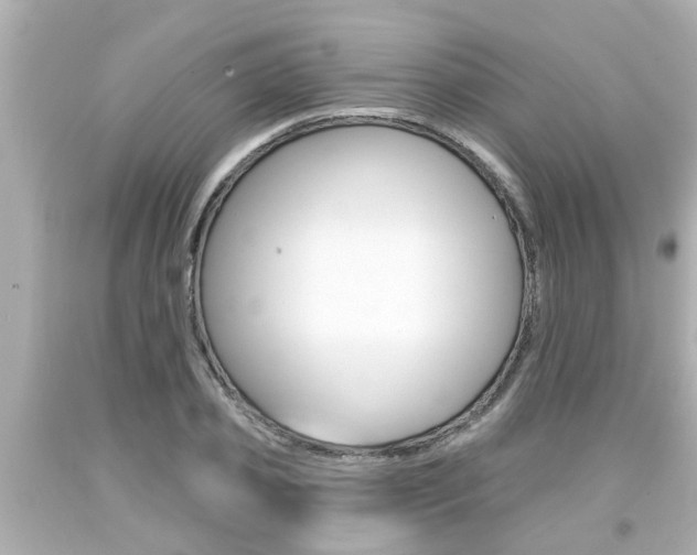 X0000094380933200711020822