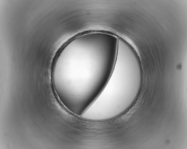 X0000094380935200711020822