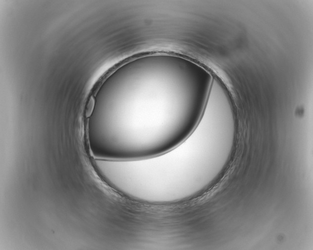 X0000094380936200711020822