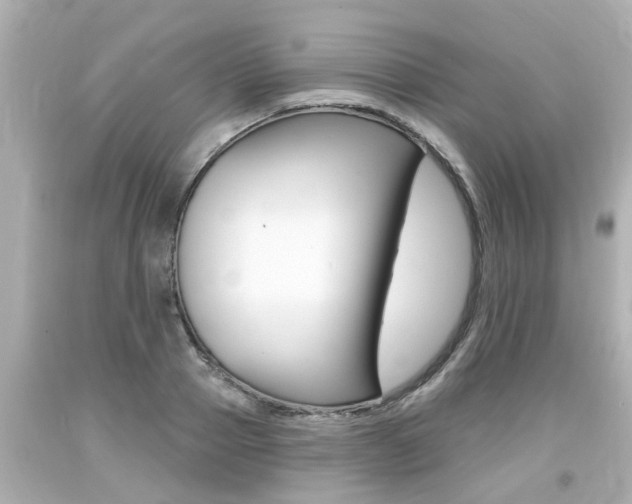 X0000094380937200711020822