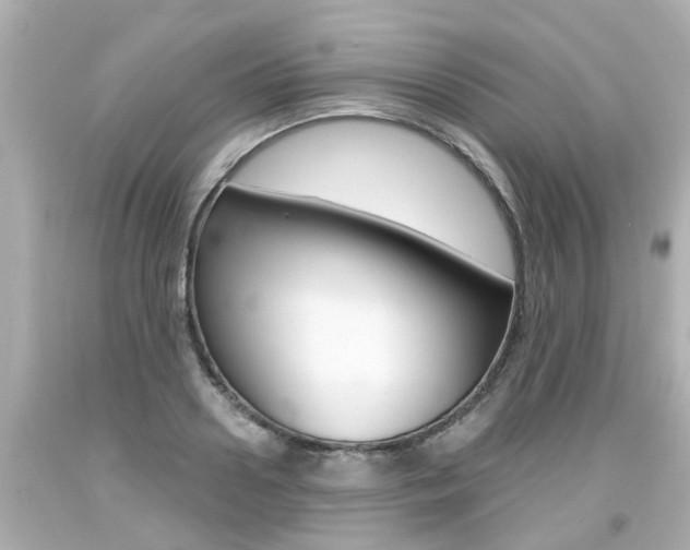X0000094380938200711020822