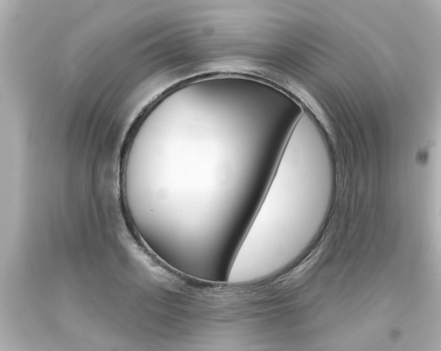 X0000094380939200711020822