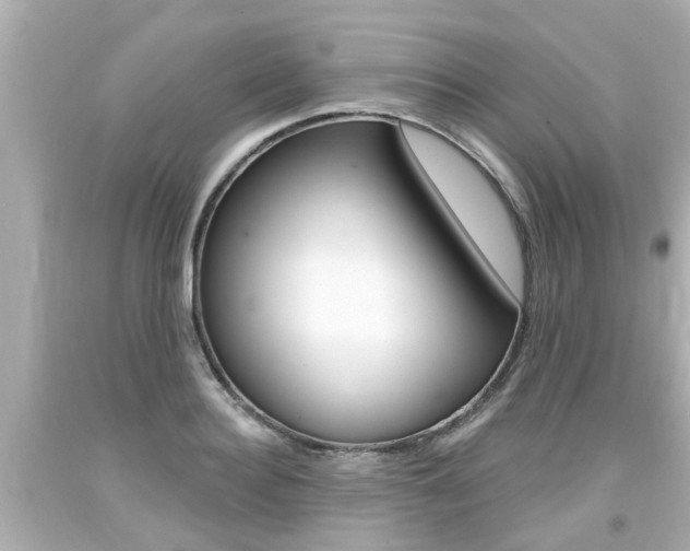 X0000094380940200711020822
