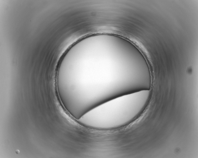 X0000094380941200711020822
