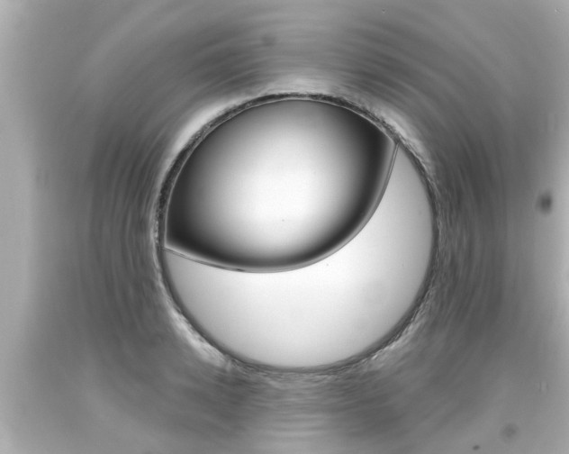 X0000094380942200711020822