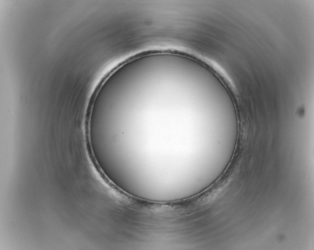 X0000094380943200711020822