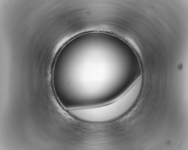 X0000094380944200711020822