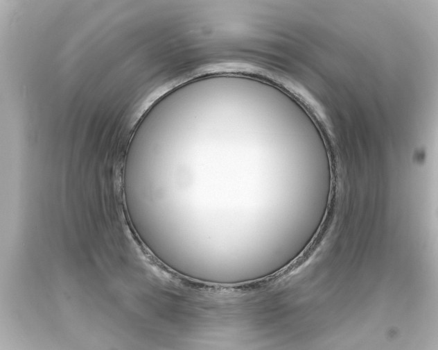 X0000094380945200711020822
