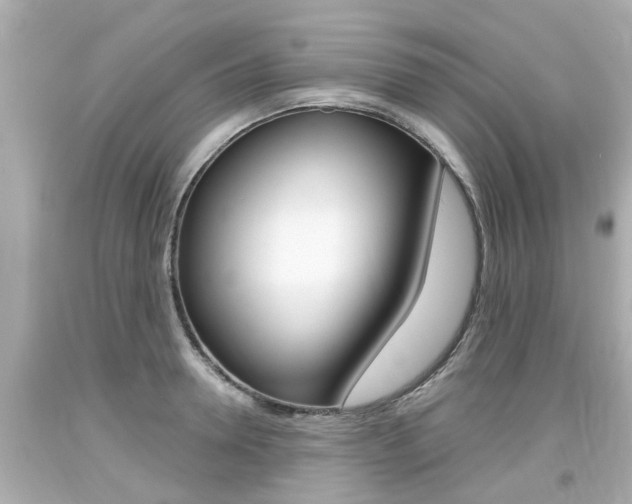 X0000094380946200711020822