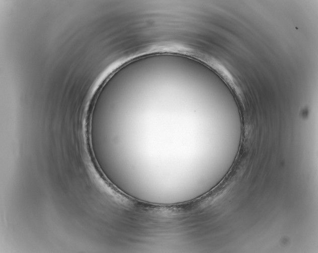 X0000094380947200711020822
