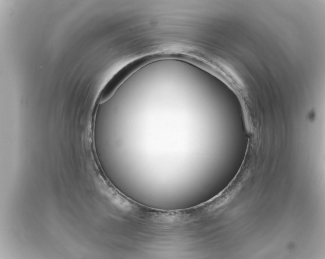 X0000094380948200711020822
