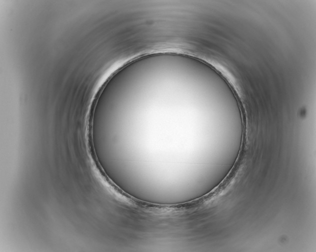 X0000094380949200711020822