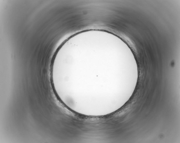 X0000094380950200711020822