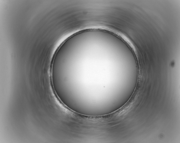 X0000094380951200711020822