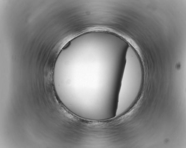 X0000094380953200711020822