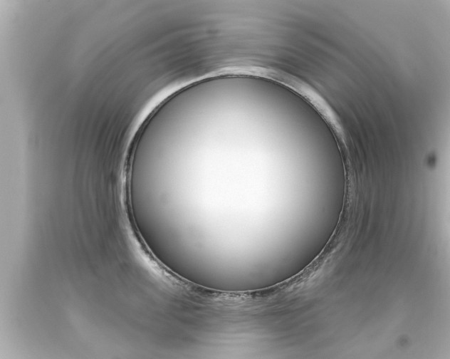 X0000094380955200711020822