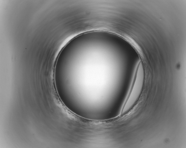 X0000094380956200711020822