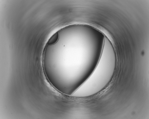 X0000094380958200711020822