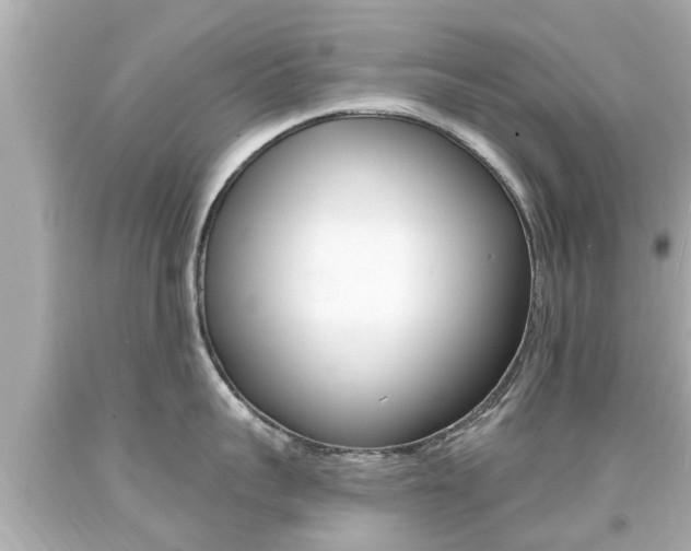 X0000094380959200711020822