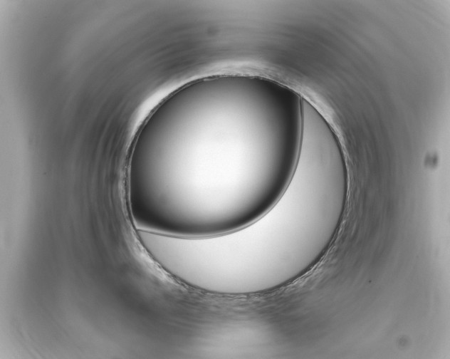 X0000094380960200711020822