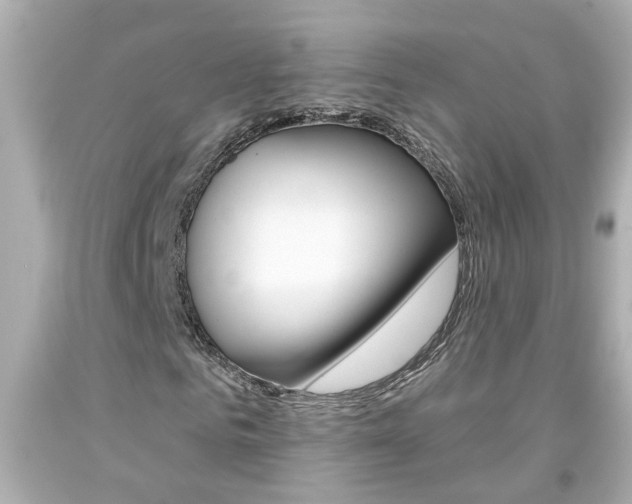 X0000094380961200711020821