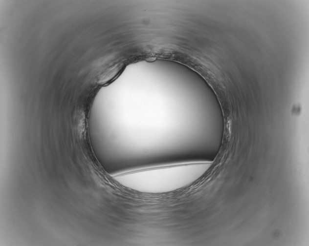 X0000094380963200711020821