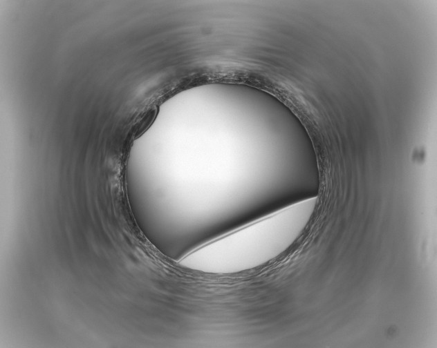 X0000094380964200711020821
