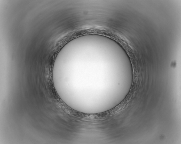 X0000094380966200711020821