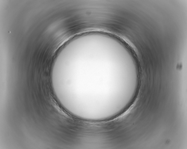X0000094380969200711020821