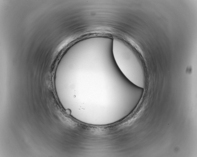X0000094380970200711020821