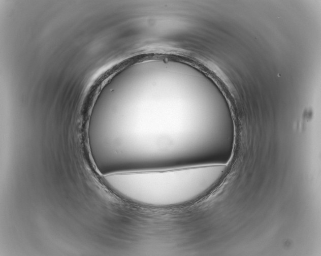 X0000094380971200711020821