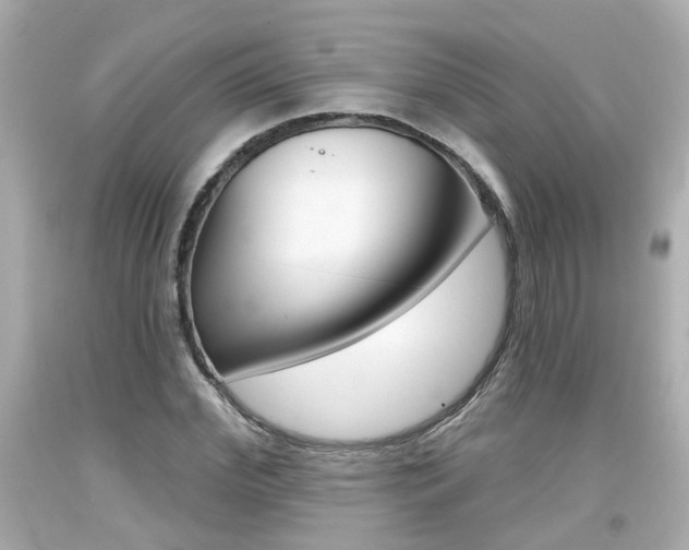 X0000094380972200711020821
